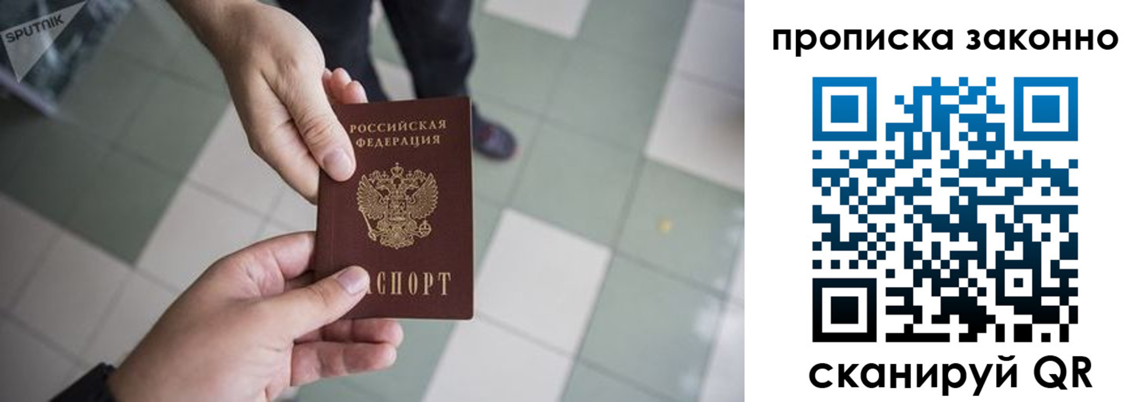 прописка законно в Сочи